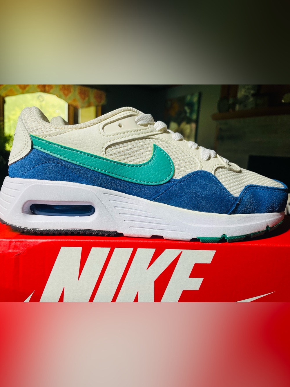 Nike Air Max SC
Sail Game Royal White Neptune Green 
7.5W